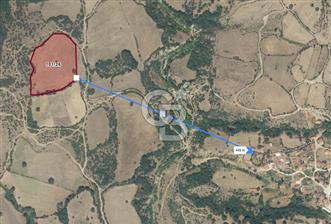 ÇANAKKALE YENİCE SUUÇTU KÖYÜNDE 12.977 m² YATIRIMLIK TARLA