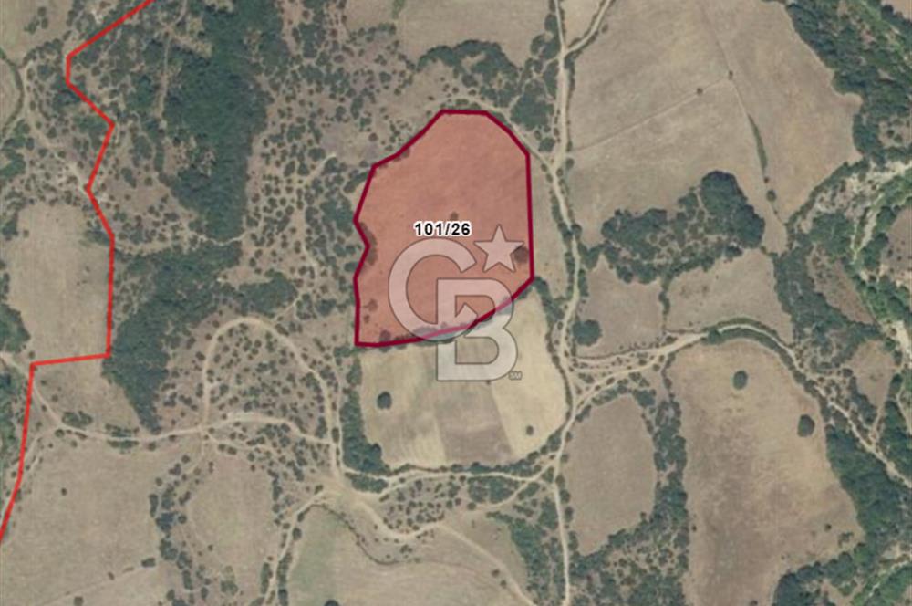 ÇANAKKALE YENİCE SUUÇTU KÖYÜNDE 12.977 m² YATIRIMLIK TARLA