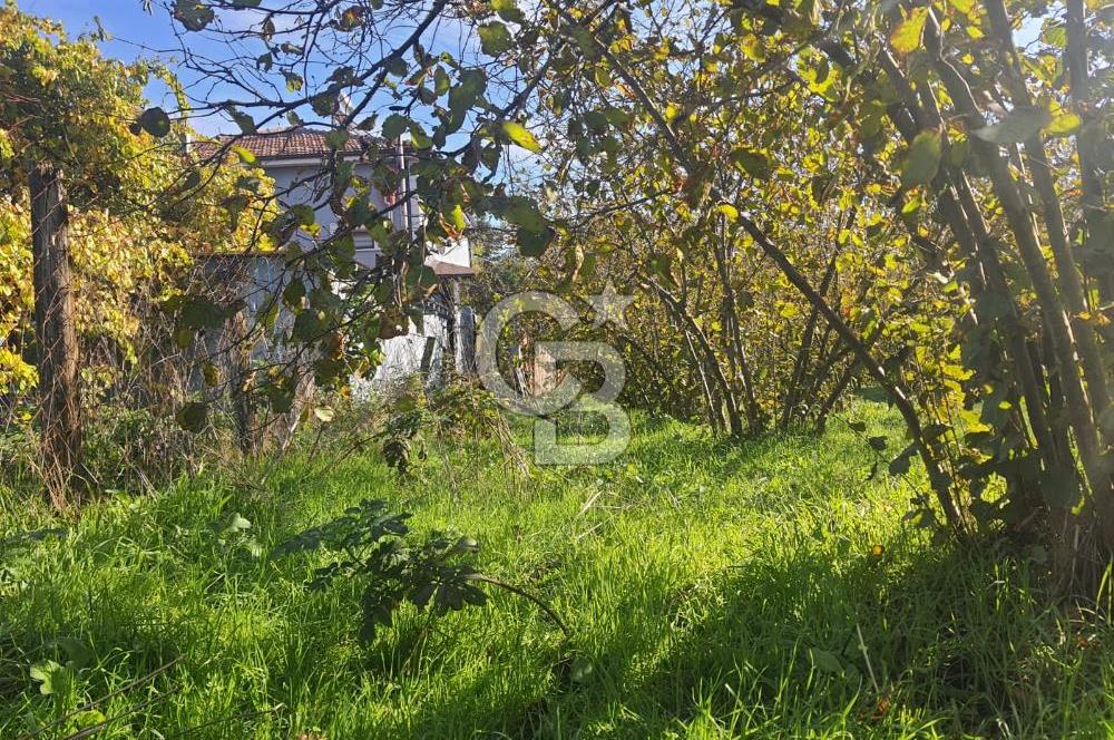 Sakarya Hendek Yeşilyurt'ta Tek Tapu Satılık 2702 m2 İmarlı Arsa