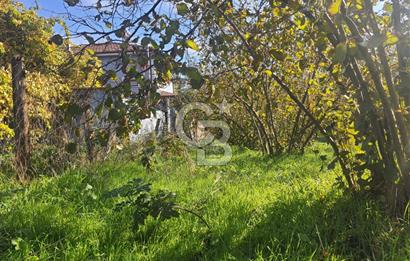 Sakarya Hendek Yeşilyurt'ta Tek Tapu Satılık 2702 m2 İmarlı Arsa