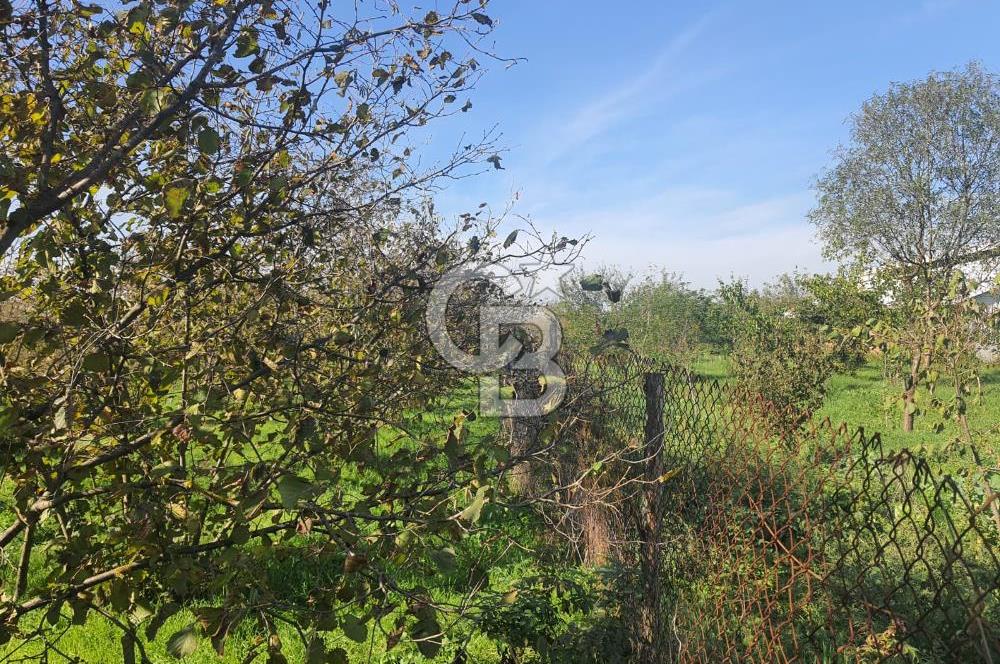 Sakarya Hendek Yeşilyurt'ta Tek Tapu Satılık 2702 m2 İmarlı Arsa