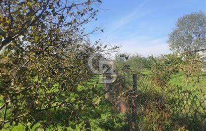 Sakarya Hendek Yeşilyurt'ta Tek Tapu Satılık 2702 m2 İmarlı Arsa