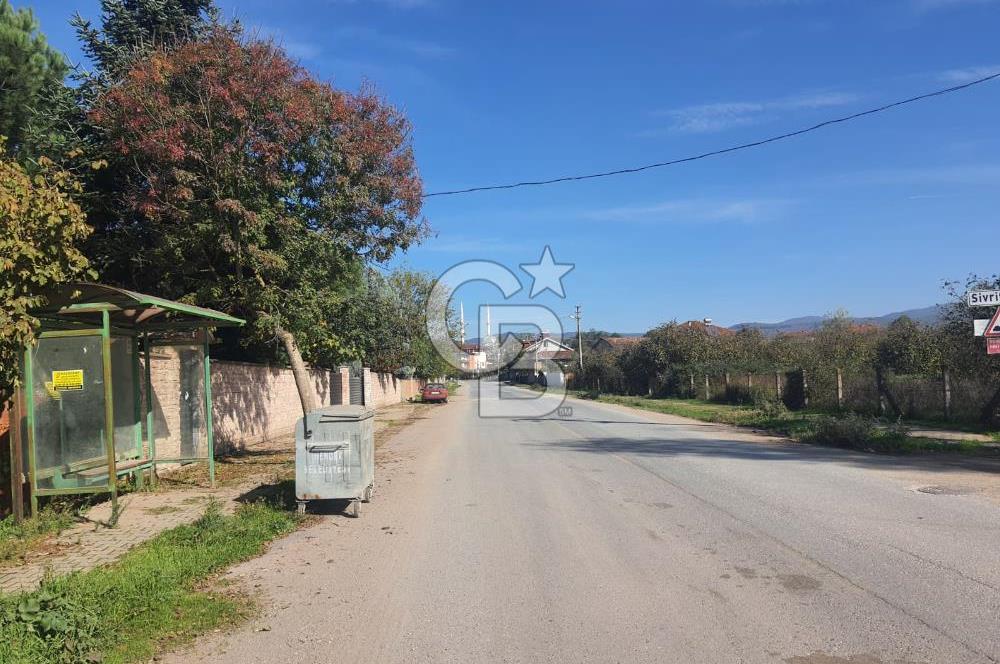 Sakarya Hendek Yeşilyurt'ta Tek Tapu Satılık 2702 m2 İmarlı Arsa