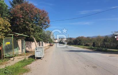 Sakarya Hendek Yeşilyurt'ta Tek Tapu Satılık 2702 m2 İmarlı Arsa