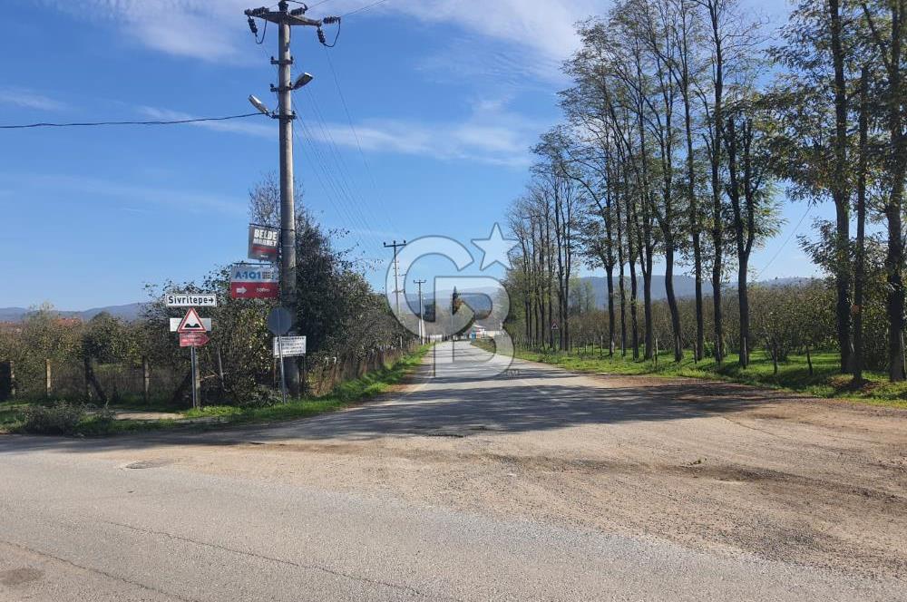 Sakarya Hendek Yeşilyurt'ta Tek Tapu Satılık 2702 m2 İmarlı Arsa