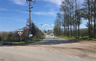 Sakarya Hendek Yeşilyurt'ta Tek Tapu Satılık 2702 m2 İmarlı Arsa