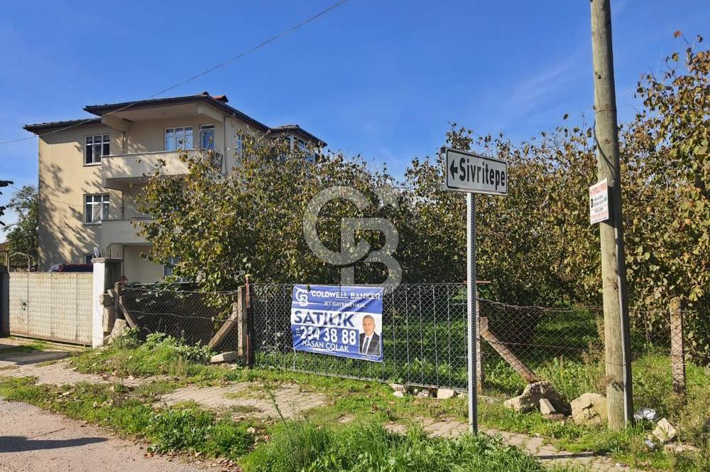 Sakarya Hendek Yeşilyurt'ta Tek Tapu Satılık 2702 m2 İmarlı Arsa