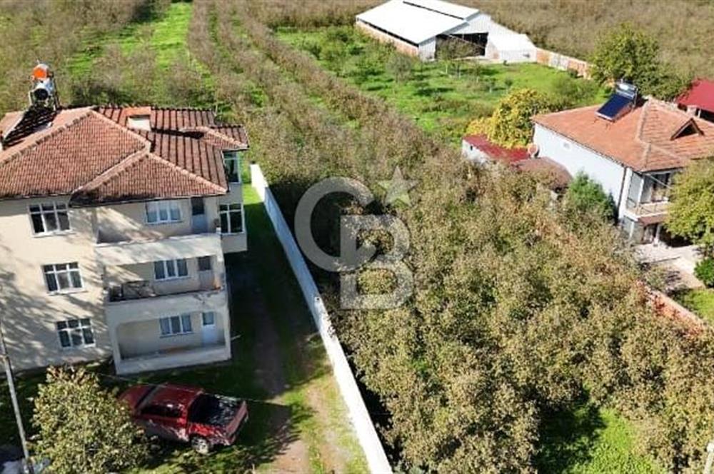 Sakarya Hendek Yeşilyurt'ta Tek Tapu Satılık 2702 m2 İmarlı Arsa