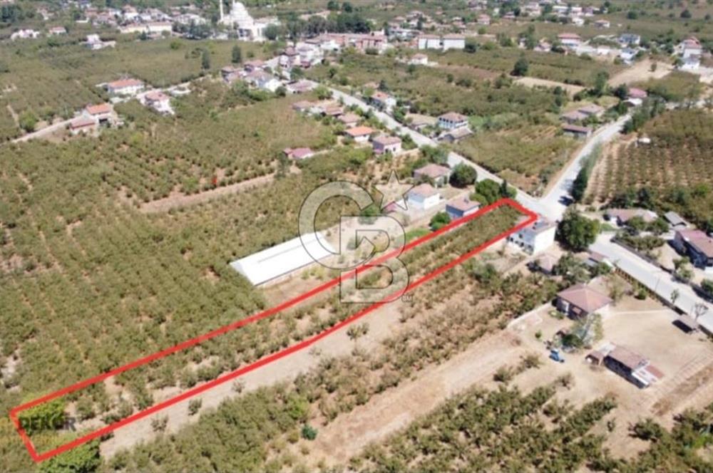 Sakarya Hendek Yeşilyurt'ta Tek Tapu Satılık 2702 m2 İmarlı Arsa