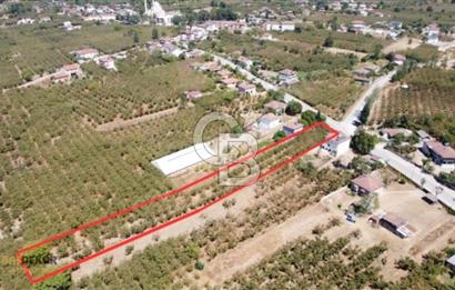 Sakarya Hendek Yeşilyurt'ta Tek Tapu Satılık 2702 m2 İmarlı Arsa