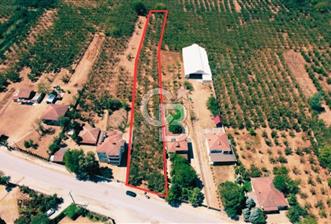 Sakarya Hendek Yeşilyurt'ta Tek Tapu Satılık 2702 m2 İmarlı Arsa