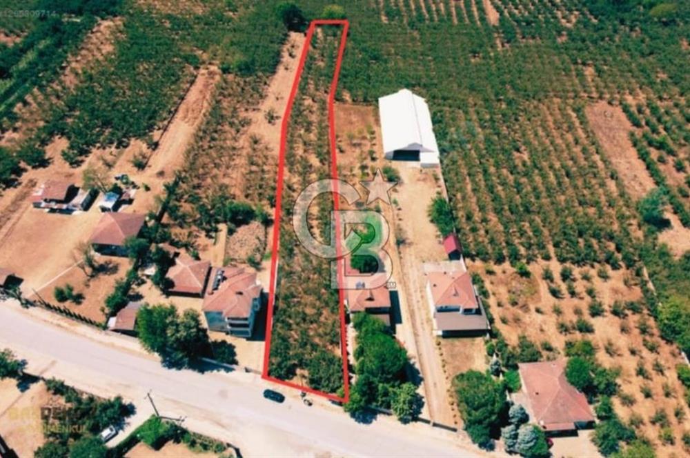 Sakarya Hendek Yeşilyurt'ta Tek Tapu Satılık 2702 m2 İmarlı Arsa