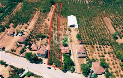 Sakarya Hendek Yeşilyurt'ta Tek Tapu Satılık 2702 m2 İmarlı Arsa