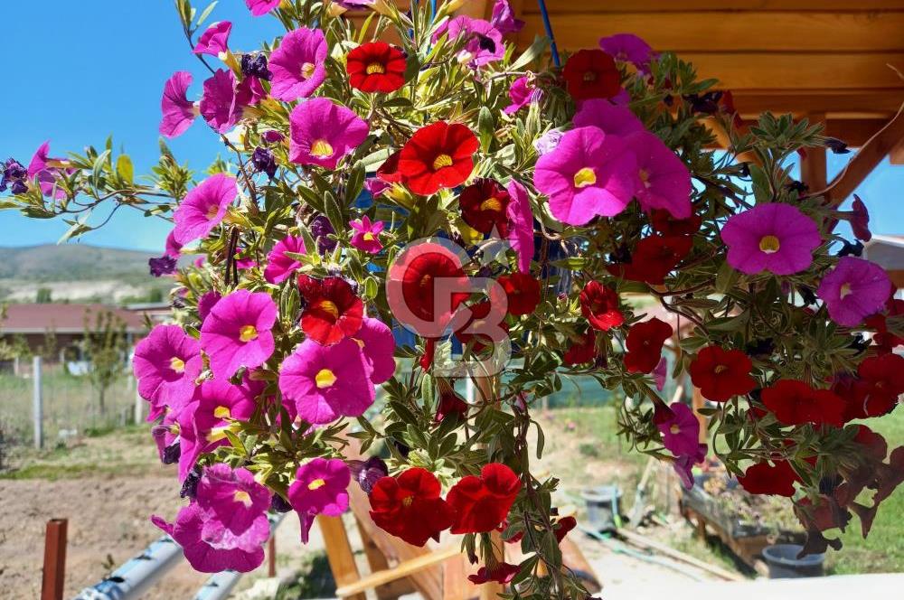 AYAŞ ARI LIFE SİTESİNDE SATILIK EŞYALI HOBİ BAHÇESİ