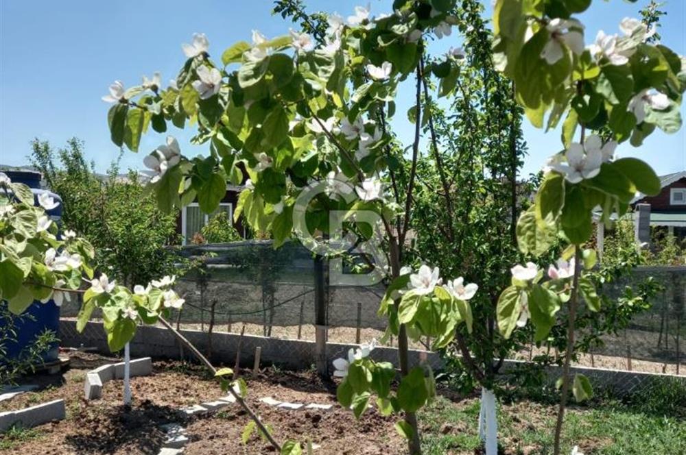 AYAŞ ARI LIFE SİTESİNDE SATILIK EŞYALI HOBİ BAHÇESİ