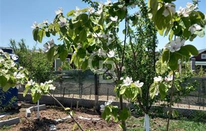 AYAŞ ARI LIFE SİTESİNDE SATILIK EŞYALI HOBİ BAHÇESİ