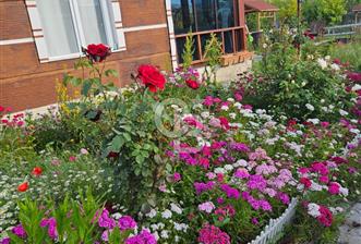 AYAŞ ARI LIFE SİTESİNDE SATILIK EŞYALI HOBİ BAHÇESİ