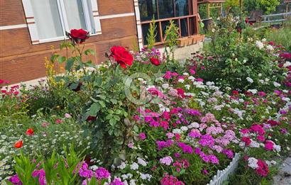 AYAŞ ARI LIFE SİTESİNDE SATILIK EŞYALI HOBİ BAHÇESİ