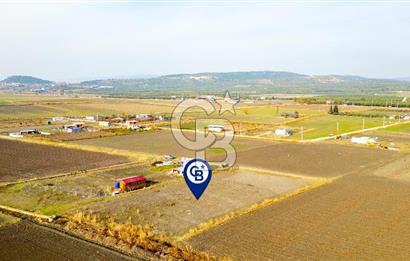 Foça Gerenköy'de Satılık 389 m2 Hisseli Tarla