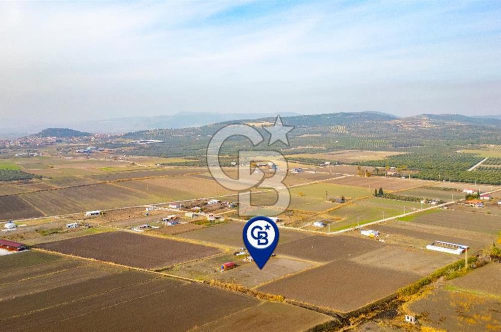 Foça Gerenköy'de Satılık 389 m2 Hisseli Tarla