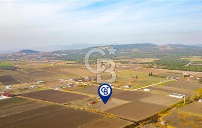 Foça Gerenköy'de Satılık 389 m2 Hisseli Tarla