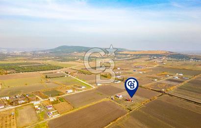 Foça Gerenköy'de Satılık 389 m2 Hisseli Tarla