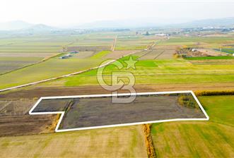 Foça Gerenköy'de Satılık 6.304 m2 Hisseli Tarla - 7 - 311784