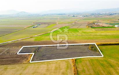 Foça Gerenköy'de Satılık 6.304 m2 Hisseli Tarla
