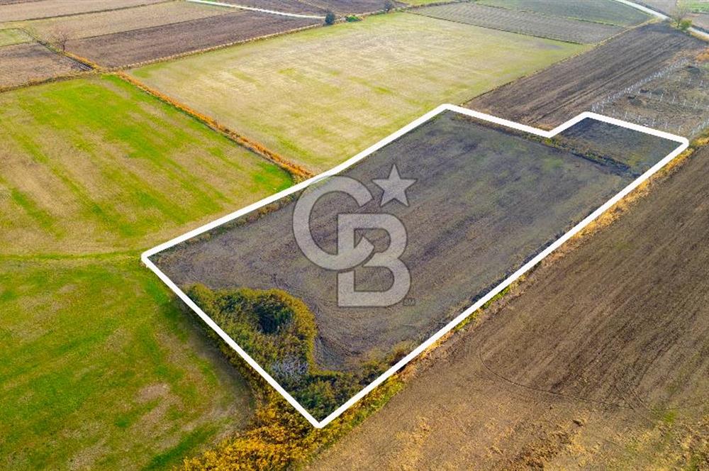 Foça Gerenköy'de Satılık 6.304 m2 Hisseli Tarla