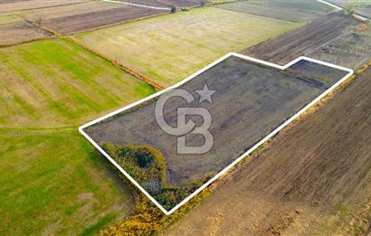 Foça Gerenköy'de Satılık 6.304 m2 Hisseli Tarla