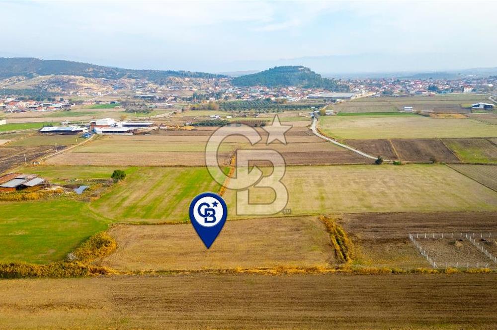 Foça Gerenköy'de Satılık 6.304 m2 Hisseli Tarla