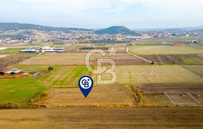 Foça Gerenköy'de Satılık 6.304 m2 Hisseli Tarla