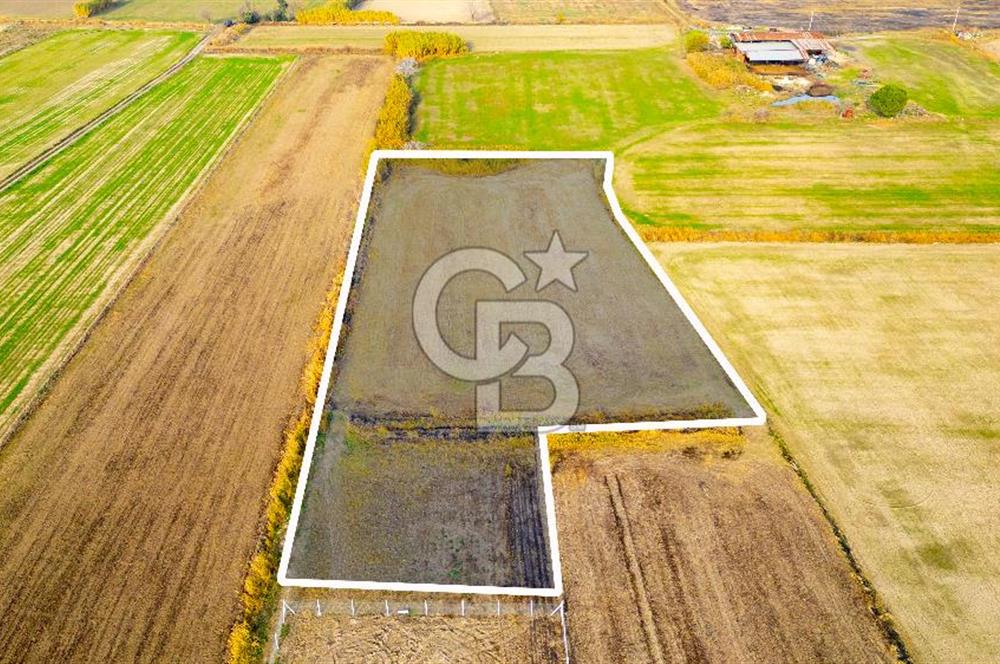 Foça Gerenköy'de Satılık 6.304 m2 Hisseli Tarla