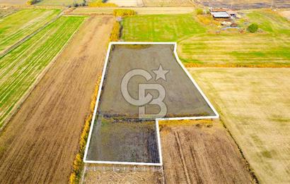 Foça Gerenköy'de Satılık 6.304 m2 Hisseli Tarla