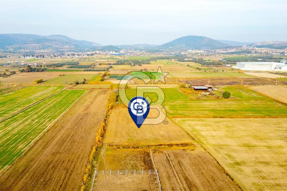 Foça Gerenköy'de Satılık 6.304 m2 Hisseli Tarla