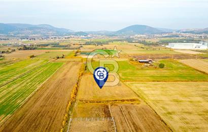 Foça Gerenköy'de Satılık 6.304 m2 Hisseli Tarla