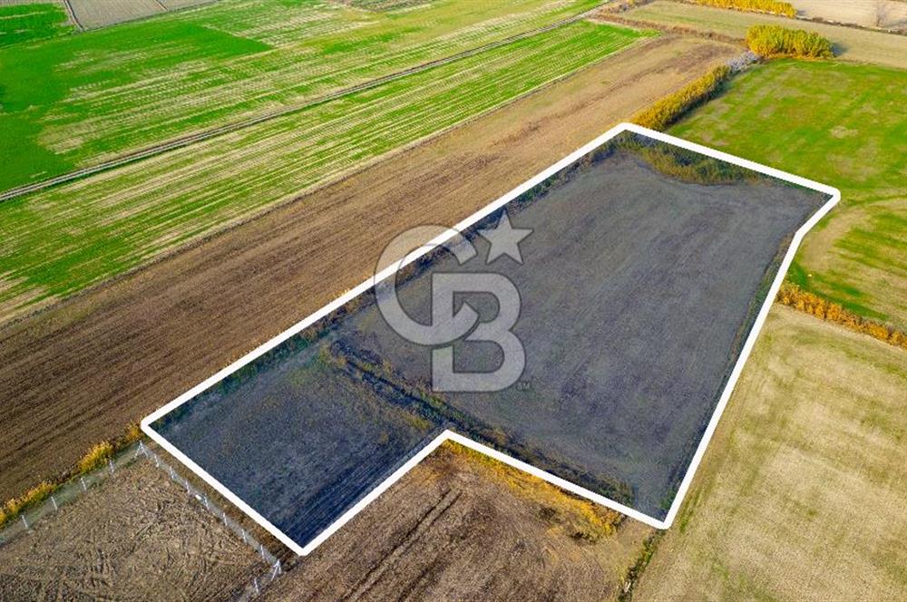 Foça Gerenköy'de Satılık 6.304 m2 Hisseli Tarla