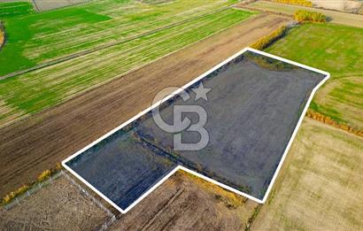 Foça Gerenköy'de Satılık 6.304 m2 Hisseli Tarla