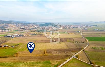 Foça Gerenköy'de Satılık 6.304 m2 Hisseli Tarla