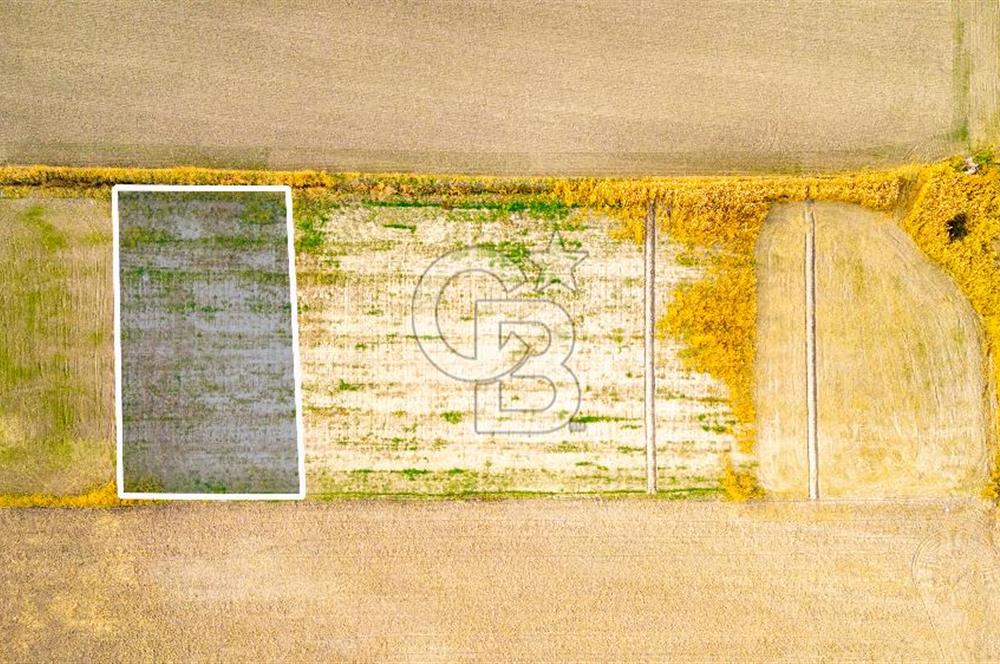 Foça Gerenköy'de Satılık 1.171 m2 Hisseli Tarla