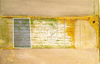 Foça Gerenköy'de Satılık 1.171 m2 Hisseli Tarla