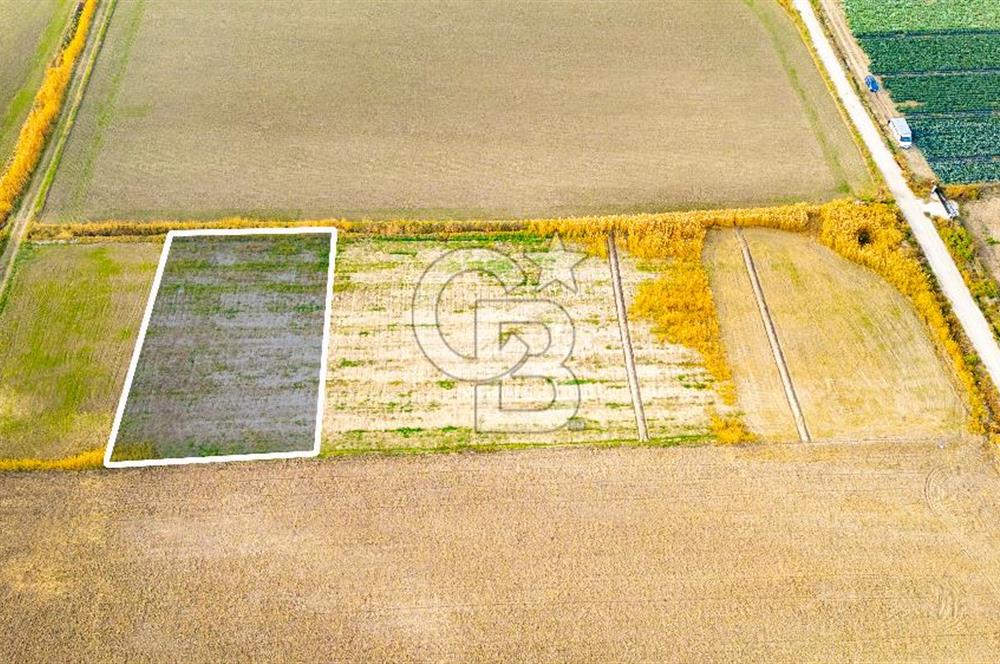 Foça Gerenköy'de Satılık 1.171 m2 Hisseli Tarla