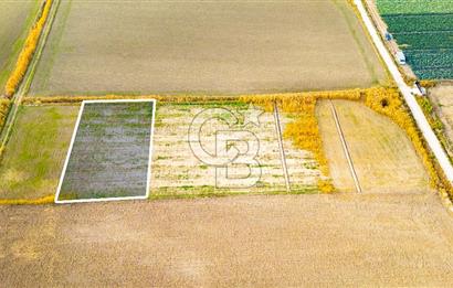 Foça Gerenköy'de Satılık 1.171 m2 Hisseli Tarla