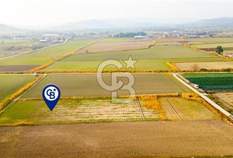 Foça Gerenköy'de Satılık 1.171 m2 Hisseli Tarla - 5 - 311786