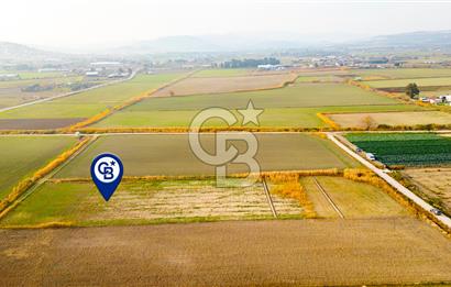 Foça Gerenköy'de Satılık 1.171 m2 Hisseli Tarla