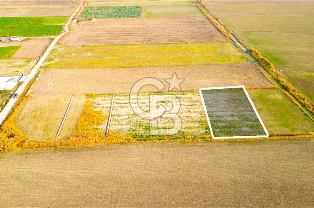 Foça Gerenköy'de Satılık 1.171 m2 Hisseli Tarla