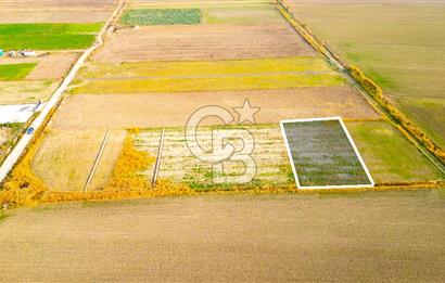 Foça Gerenköy'de Satılık 1.171 m2 Hisseli Tarla