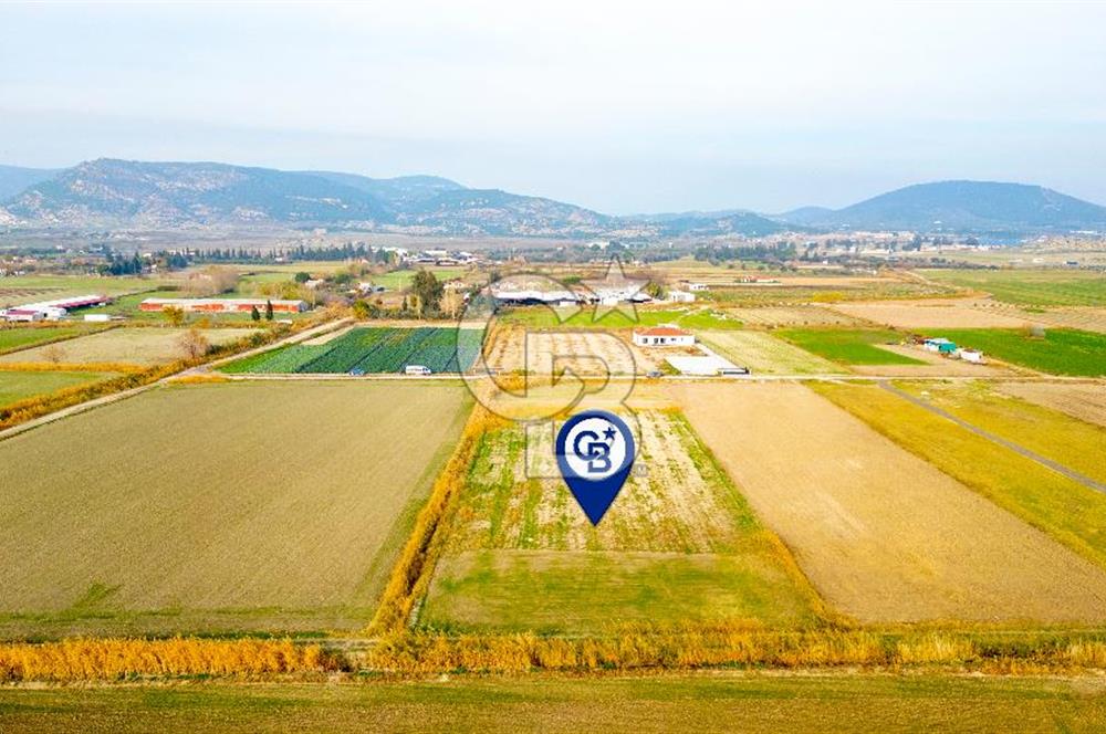 Foça Gerenköy'de Satılık 1.171 m2 Hisseli Tarla