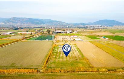 Foça Gerenköy'de Satılık 1.171 m2 Hisseli Tarla