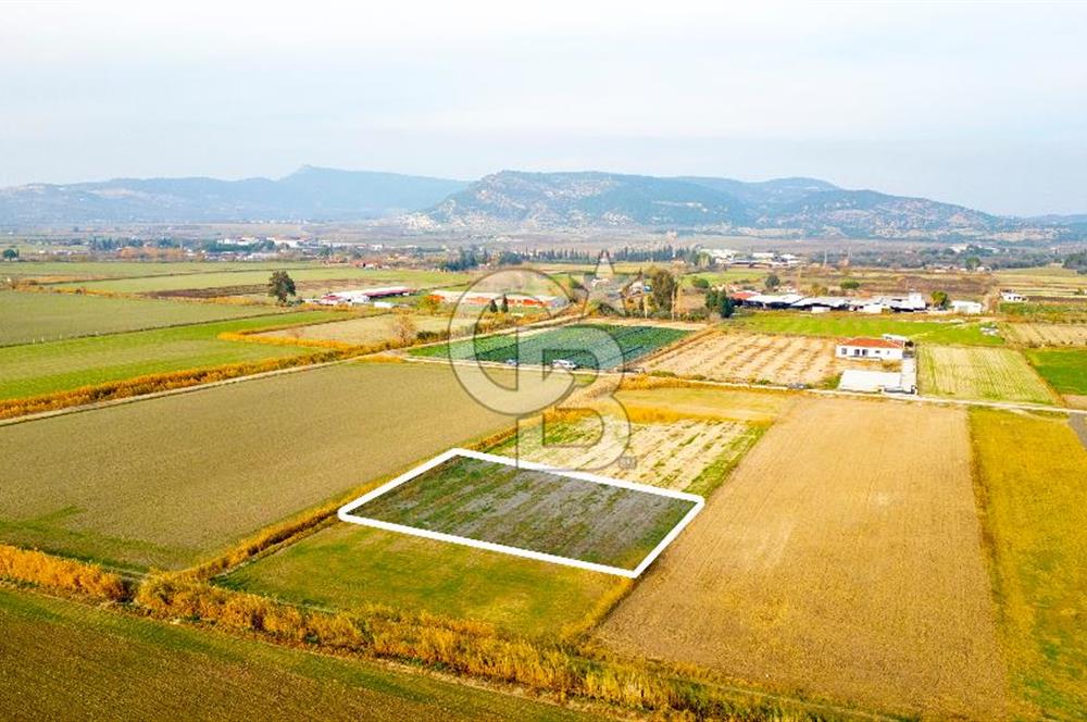 Foça Gerenköy'de Satılık 1.171 m2 Hisseli Tarla